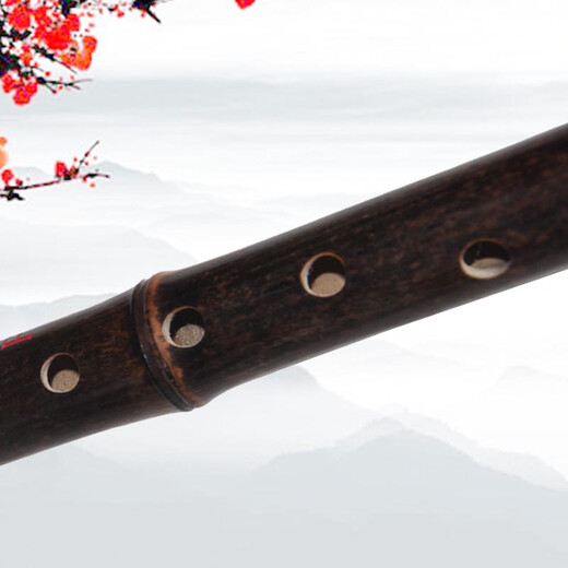 Mr. Guanzi machte speziell ein spezielles Xiao -Musikinstrument, um das feine Xiao Bakong Klavier und Flöte Antike Style Instrument zu spielen.
