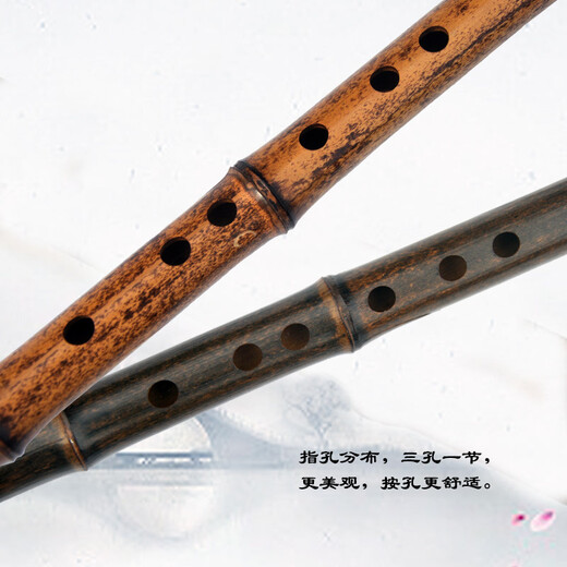 管子先生专业五节紫竹笛子演奏横笛成人初学考级古风乐器 D调