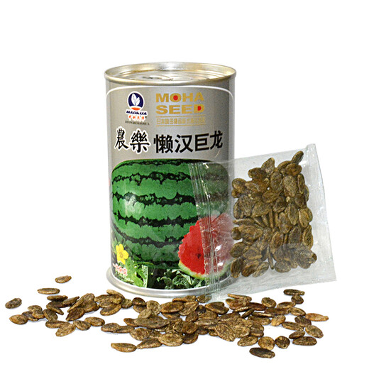 Zhongke Maohua Fruit and Vegetable Seeds Lazy Giant Dragon Flower Skin Red Flesh Watermelon Seeds Large Fruit Type No-Pruning Lazy Man Super Sweet Big Red Flesh Single Melon 20Jin Jin is equal to 0.5kg Lazy Giant Dragon 50g 2 boxes