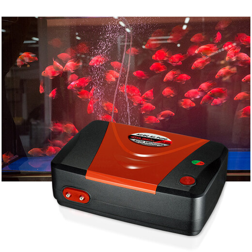 西龙 鱼缸增氧泵 大气量水族箱气泵 水族冲氧泵 小型养鱼氧气泵 AD1000电池6W气量2*4L/min