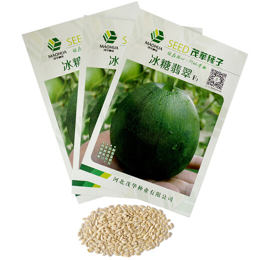 Zhongke Maohua melon, fruit and vegetable seeds rock sugar emerald melon seeds apple cantaloupe seeds thin skin super sweet sugar content 18 rock sugar emerald 50 capsules/bag