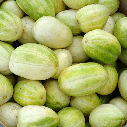 Zhongke Maohua Melon Fruit Seeds Maohua Sweet Fei Sweet Melon Seeds Northeastern Hybrid Jinfei Melon Oval Sugar Contains 16-18 Degrees Maohua Sweet 50 capsules/bag Trial Planting Pack