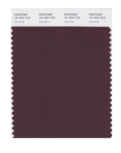Pantone/Pantone/Collection Ropa y casa 19-1526 a 19-1627TCX Versión de algodón Tarjeta de color simple 19-1624x