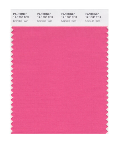 
PANTONE/Pantone/Collection Clothing and Home 17-1740 to 17-2601TCX Cotton Version Single Color Card 17-1930X