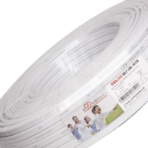 DELIXI BVVB hard sheathed wire two-core 4 square copper core wire national standard household exposed flat line loose cut non-returnable white BVVB2*41m (1 piece is 1 meter)