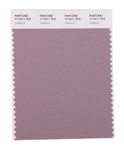 PANTONE/潘通/彩通 服裝家居 17-1740至17-2601TCX 棉布版单张色卡 17-2411X