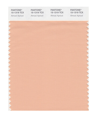 
PANTONE/Pantone Clothing Home 15-1242 to 15-1334TCX Cotton Version Single Color Card 15-1319X