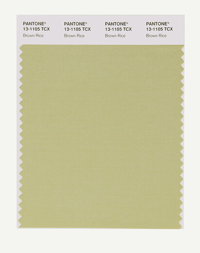 Pantone/Pantone/Collection Ropa y hogar 13-1009 a 13-1107TCX Versión de algodón Tarjeta de color simple 13-1105x
