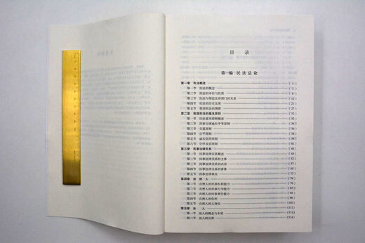 【正版二手】民法原论（第四版）9787511**1594（套装默认一册请咨询客服为准）