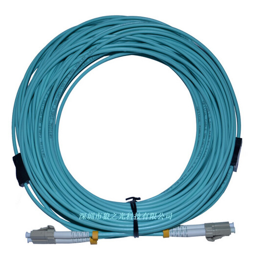 EB-LINK 电信级LC-LC铠装OM3万兆多模双芯10G光纤跳线OM4双工尾纤防鼠咬抗拉抗压 铠装万兆多模双芯OM3 10米