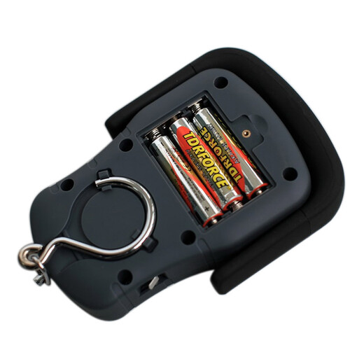 Furi Express Logistics Weighing Portable Scale Portable Hook Electronic Scale Spring Scale 50kg SF Express (DGLB)