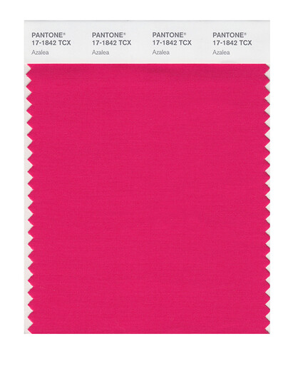 PANTONE/PANTONE/PANTONE Bekleidung und Heimtextilien 17-1740 bis 17-2601TCX, Baumwollversion, einfarbige Karte 17-1842X