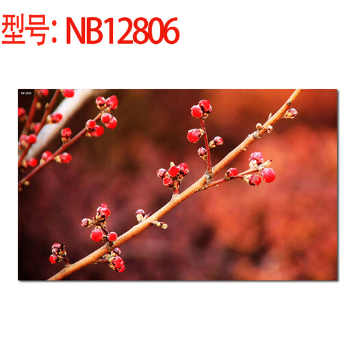 Jumengwu Beautiful and Romantic Pink Cherry Blossom Branches and Buds Sakura Plants and Famous Flowers Scenery Natural Scenery Painting Living Room Dining Room Bedroom Decoration Poster NB12806 50*30cm