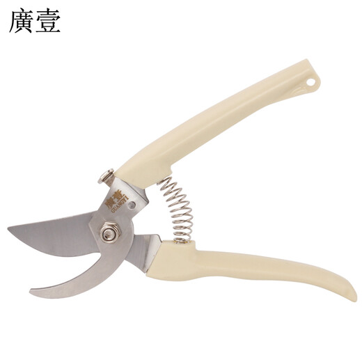 Guangyi Garden Tools Scissors Pruning Shears Pruning Branch Scissors Flower Scissors Gardening Scissors Floral Scissors Fruit Tree Garden Scissors GY-1282 Branch Scissors