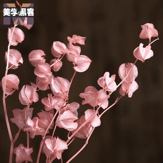 Aesthetic hacker mountain cherry dried flower bouquet real flowers living room bedroom new house decoration floor flowers small fresh home furnishings TV cabinet simple mountain cherry pink 5 pcs in a bouquet