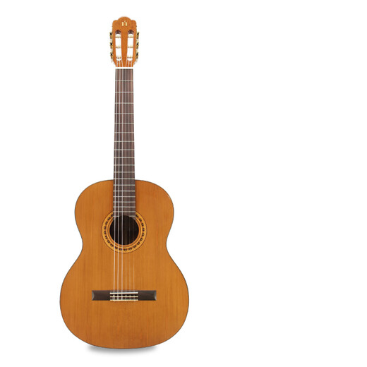 Наташа классическая гитара N10C Vancopter Guitar Guitner Acoustic Guitar String Длина 650 мм