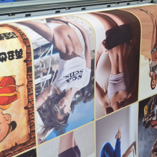 
Jumengwu Tianyuan Breakthrough Anime Poster Surrounding Hot Blood Complementary Anime Dormitory Room Poster Decoration Wall Mural NB15889 50*30cm