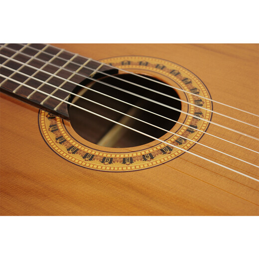 Наташа классическая гитара N10C Vancopter Guitar Guitner Acoustic Guitar String Длина 650 мм