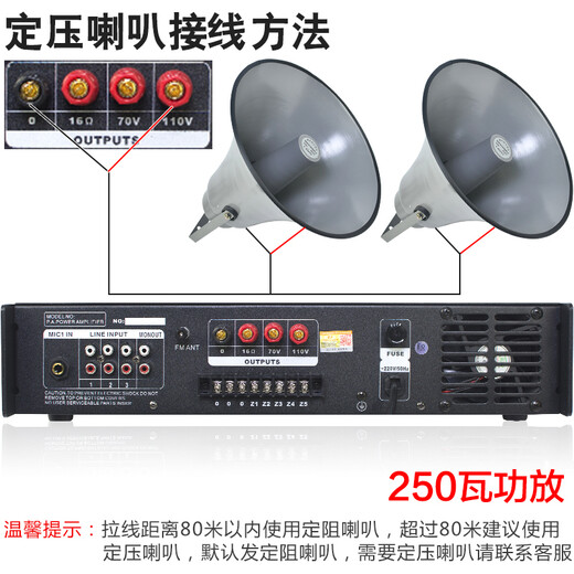 菱声（LINGSHENG） 户外公共广播号角高音喇叭农村校园广播音响紧急宣传应急广播系统 250瓦功放+2个100瓦大喇叭