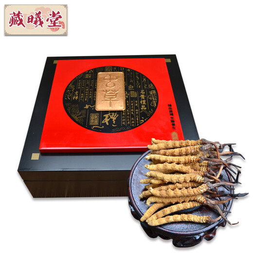 Zangxi Hall, Tibet Naqu Cordyceps sinensis, hochleichter Cordyceps sinensis, Cordyceps sinensis, 3 1 Gramm, 100 Gramm Innenraum