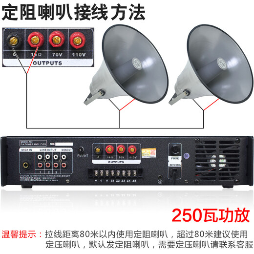 菱声（LINGSHENG） 户外公共广播号角高音喇叭农村校园广播音响紧急宣传应急广播系统 250瓦功放+2个100瓦大喇叭