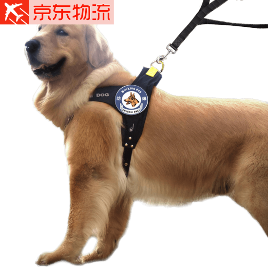 dog walking chain