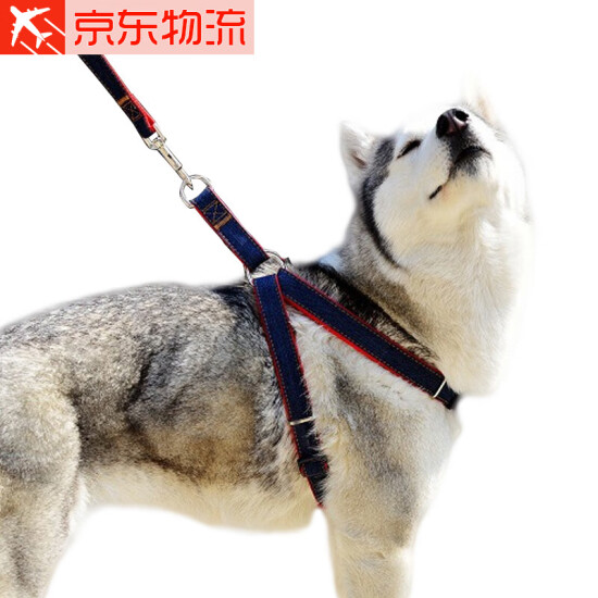 dog walking rope