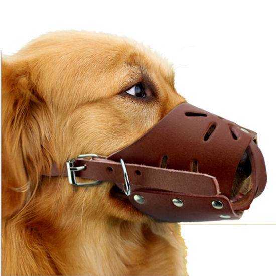 dog anti bite mask