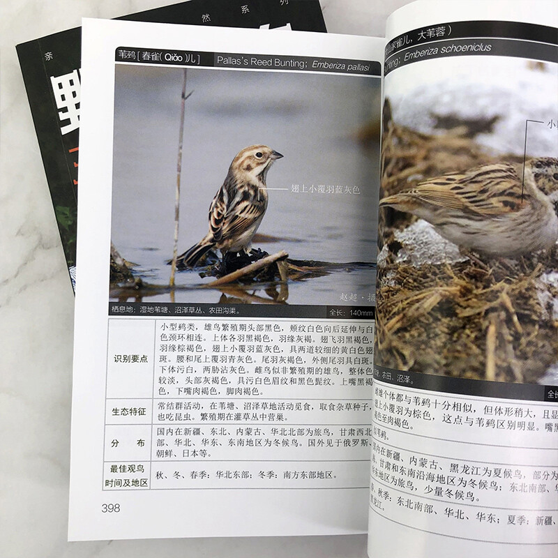 Close to Nature Series Field Bird Watching Manual (Second Edition) 368 species of Chinese birds in 20 orders, 72 families, identification key points, ecological characteristics, distribution habitats, best bird watching time and area, etc.