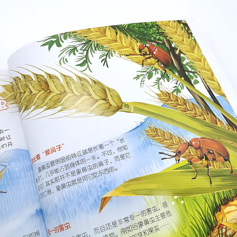 3-6 years old, Children’s Eyes on the World Science Museum, Summer Homework in the World of Insects, summer transition from primary school to secondary school, summer transition from primary school to junior high school