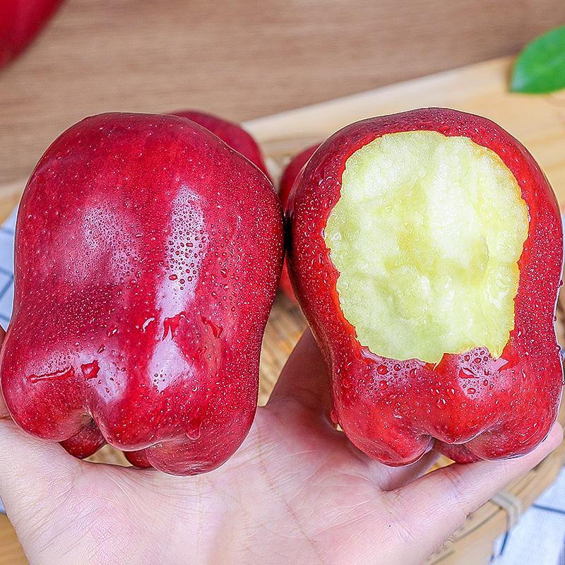 Mu Xiaoqi Fruits and Vegetables Gansu Tianshui Huaniu Noodles Apples Next Day Delivery to Multiple Places Snake Fruit Gift Box New Year’s Gift Box SS+ Grade Rare Fruit King (Single Fruit About 80mm+) 5kg Pack 80% Selection - Super Cost-effective Net 4.5kg*