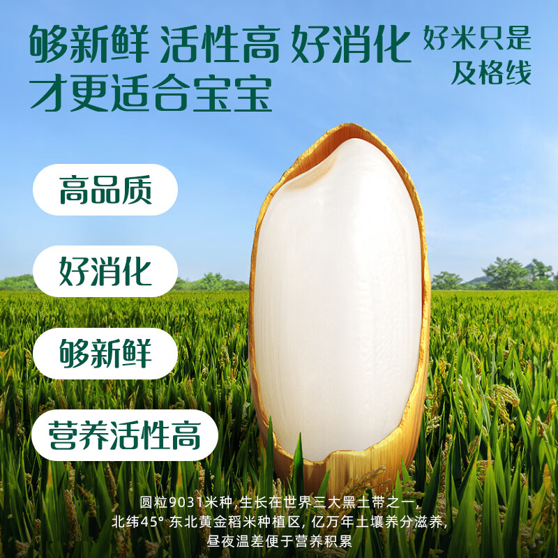 Ying's Infant Rice Powder Vitamin C Plus Iron Rice Powder Trial Pack 30g Duoleneng Baby Food Complementary Food High Iron Rice Powder 6 Months+