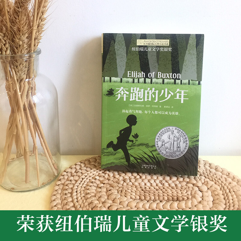 Ivy League International Award for the novel Running Boy, Newbery Children's Literature Award Silver Award, adventure, strength and other themes, must-read for elementary and middle school students in grades 3, 4, 5 and 6, International Children's Literature Award classics, extracurricular reading that affects children's lives.