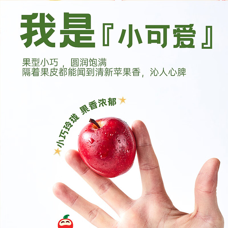 ROCKIT New Zealand Bazooka Apple 6-tube gift box, large tube starting from 350g, 5 pieces * 6 tubes, fruit gift box for gift giving