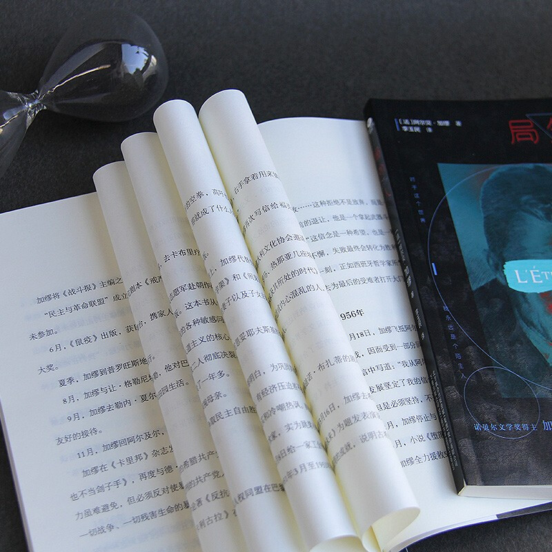 The Outsider (work by Camus, the Nobel Prize winner, fully unabridged translation by Li Yumin, the winner of the Fu Lei Translation and Publishing Award) novel