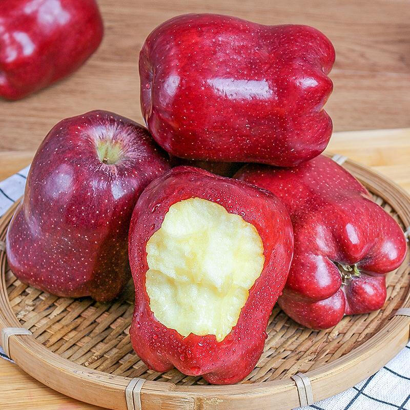 Mu Xiaoqi Fruits and Vegetables Gansu Tianshui Huaniu Noodles Apples Next Day Delivery to Multiple Places Snake Fruit Gift Box New Year’s Gift Box SS+ Grade Rare Fruit King (Single Fruit About 80mm+) 5kg Pack 80% Selection - Super Cost-effective Net 4.5kg*