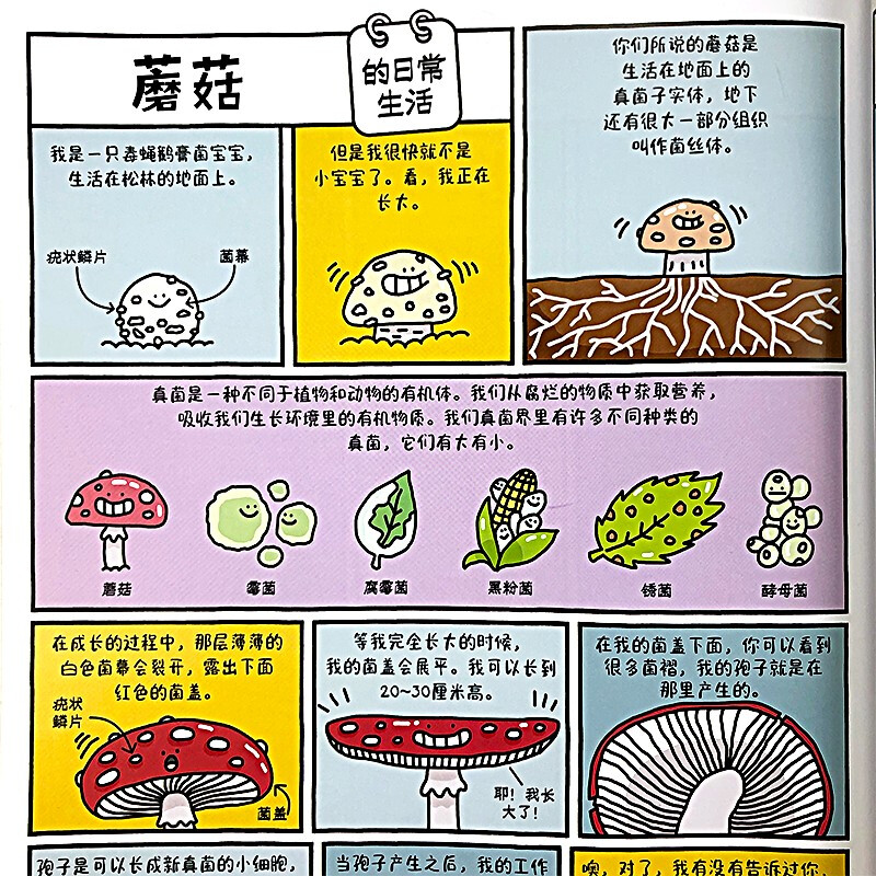 Hilarious life on earth. Poop, sloths and your day. Popular science encyclopedia with pictures and texts. Easy to learn scientific knowledge. Explore unknown interests. 7-10 year olds' romantic flowers. 6-10 year old children's winter vacation homework. 1 to 2 winter vacation transition. 1 to 2 transition to winter vacation.