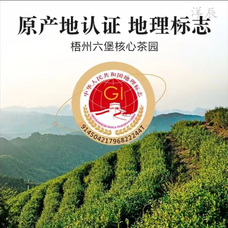 Wanglanchuan Wuzhou Guangxi Premium Liubao Tea Ten Years Old Dehumidified Black Tea Ripe Tea Boxed Gift Tea Wuzhou Specialty Ten Years Old Authentic Liubao Tea Half a Category Paper Bag