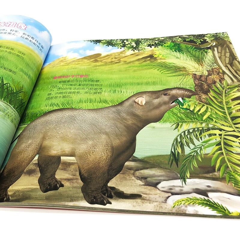 3-6 years old, Children's Eyes to Know the World Science Museum, Prehistoric Animals