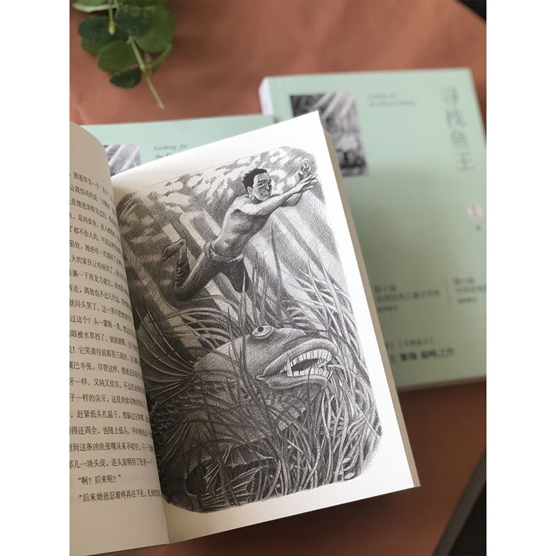 Looking for the Fish King (new edition) Mao Dun Literary Award winner Zhang Wei’s work won the China Good Book Award Recommended reading books by New Oriental founder Yu Minhong Reading extracurricular books Extracurricular independent reading Summer holiday reading Must-read Children’s gifts Recommended book list for primary school students