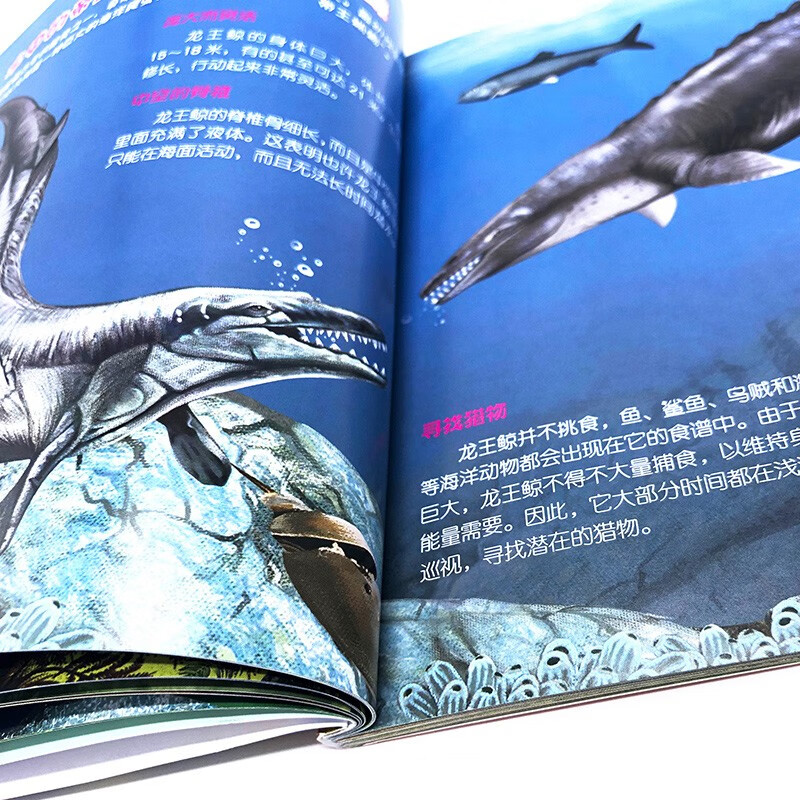 3-6 years old, Children's Eyes to Know the World Science Museum, Prehistoric Animals