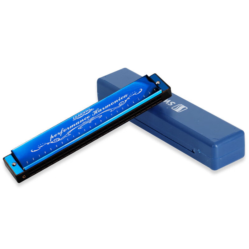 Swan (SWAN) 24-hole polyphonic C harmonica phoneme marking children's student beginners teaching harmonica sky blue
