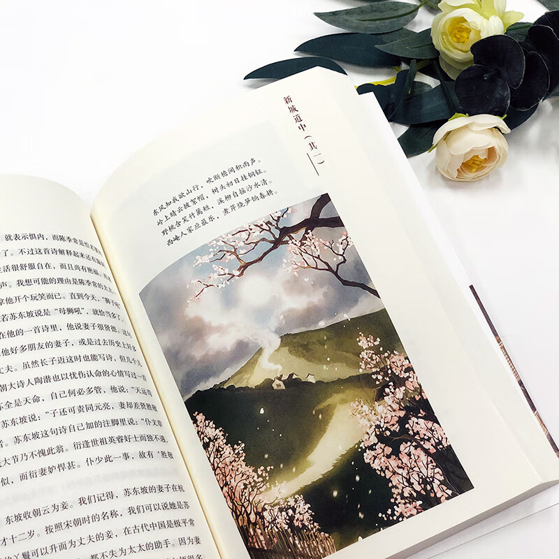 The Biography of Su Dongpo Youth Illustrated Edition Lin Yutang Children's Literature Primary and Secondary School Reading Children's Books Extracurricular Reading Reading Extracurricular Books New Year's Goods Winter Vacation Extracurricular Readings for Primary School Students Children's Books Children's Books