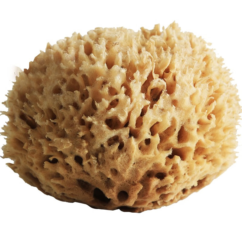 Karimano Greece imports natural honeycomb sponge for bathing, bathing ball, bath sponge, bubble bath flower ball, mud bath towel, original ecological selection, grade A Greek origin, honeycomb sponge 14-15cm (large size bath)