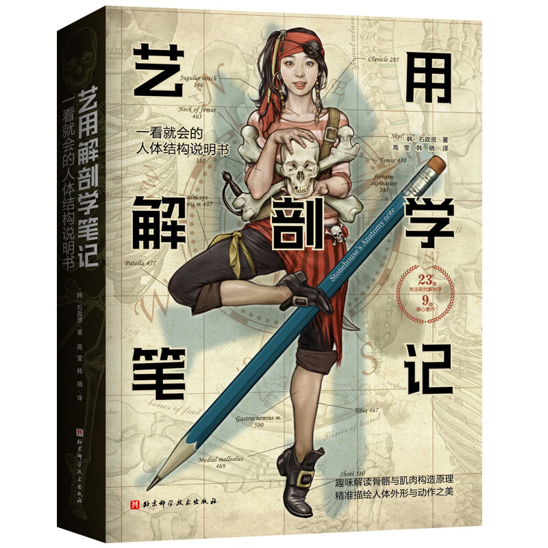 Anatomy Notes for Artists