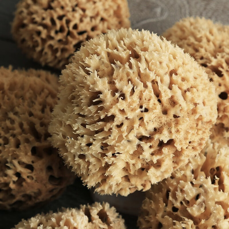 Karimano Greece imports natural honeycomb sponge for bathing, bathing ball, bath sponge, bubble bath flower ball, mud bath towel, original ecological selection, grade A Greek origin, honeycomb sponge 14-15cm (large size bath)