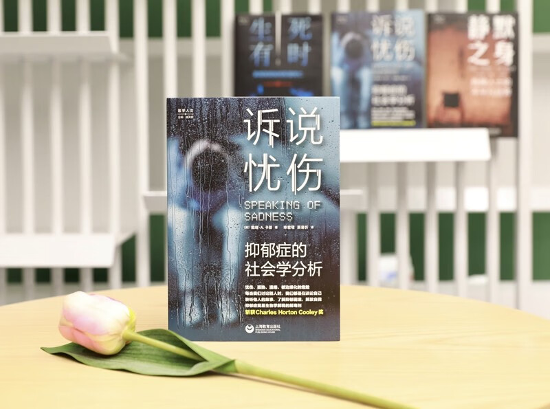 Telling Sorrows: A Sociological Analysis of Depression