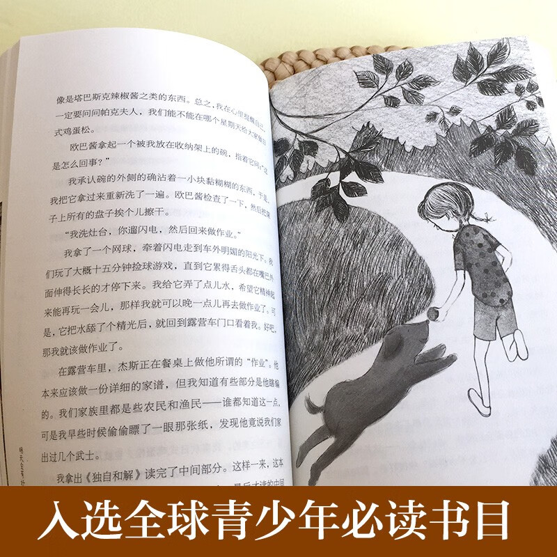 The Ivy International Award Novel Tomorrow Will Have Good Luck, the US National Book Award Gold Medal, optimism, responsibility and other themes must-read for primary and secondary schools in grades 3, 4, 5 and 6, the International Children's Literature Award classics extracurricular reading that affects children's lives.