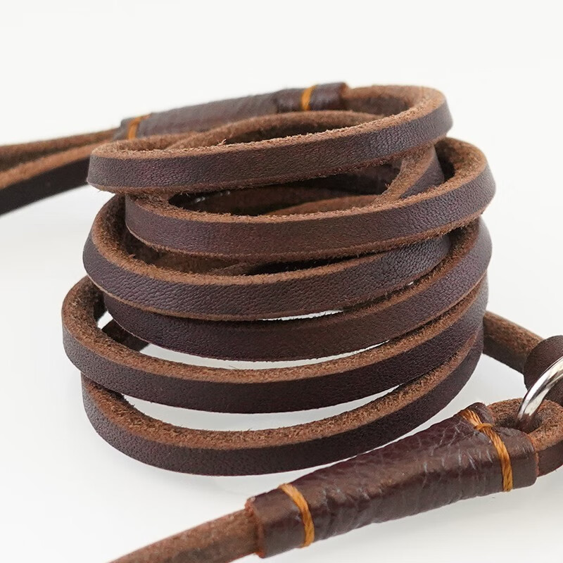 Juchuangqi dog leather P chain traction rope for puppies, small dog chain traction rope, P chain training rope, racing chain dog leash, suitable for small dogs under 20 pounds, about 1.5 meters long * about 0.5 cm thick