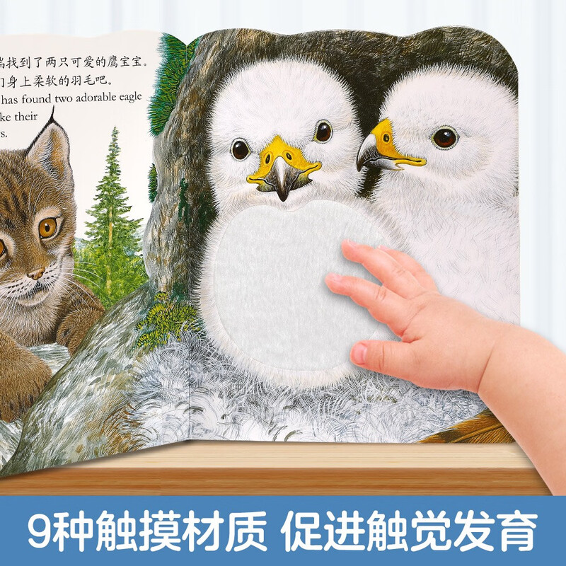 Bright and exquisite touch book-Billy the Rabbit/Bobby the Bear/Oscar the Otter (set of 3 volumes) 0-2 years old children's enlightenment simulation touch touch book low cognitive picture book can click to save money card click to read audio book audio book early education audio book